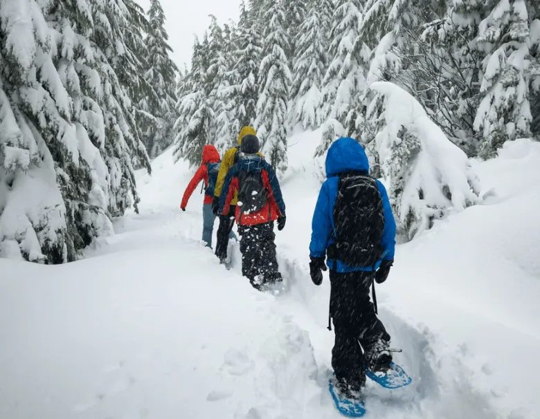 Where to Snowshoe in Italy: A Guide to Mountain Hikes