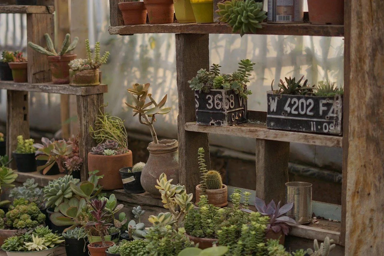 giardinaggio e cura dell'orto