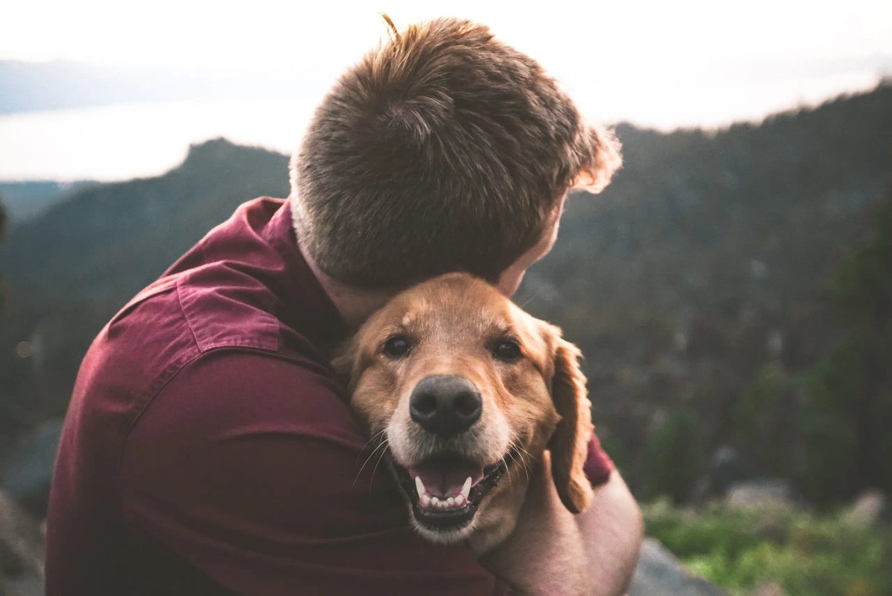 giornata con il cane