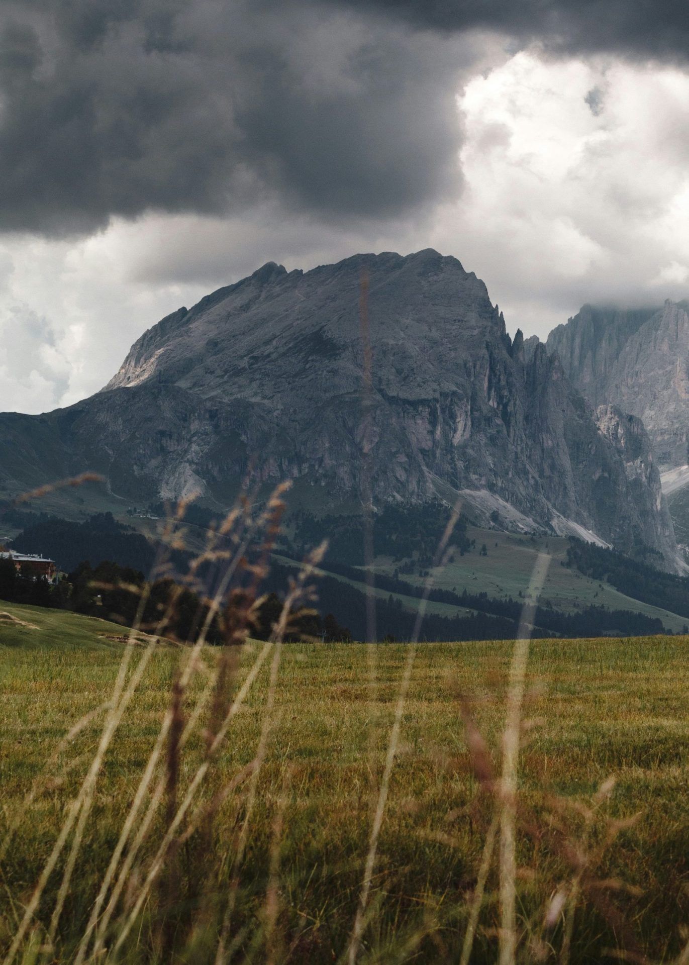 Alpe di Siusi: Discover the Best Hotels for a Dream Vacation Amid Nature and Relaxation