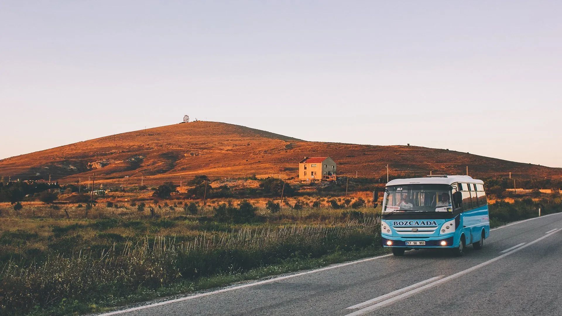 Day Bus Trips: Why Join and Where to Go