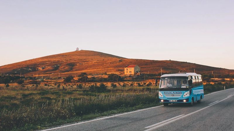 Day Bus Trips: Why Join and Where to Go