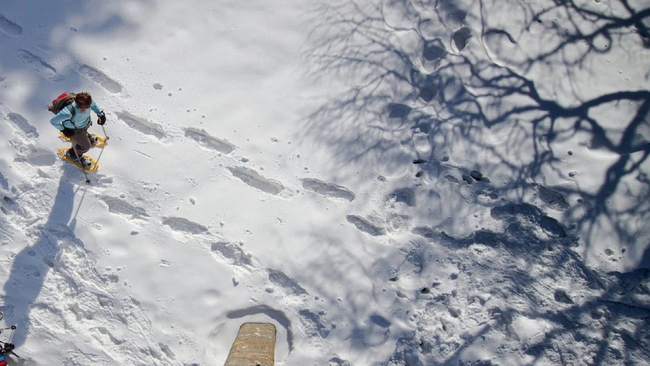 Where to Go Snowshoeing: An Ideal Journey Through the Italian Mountains