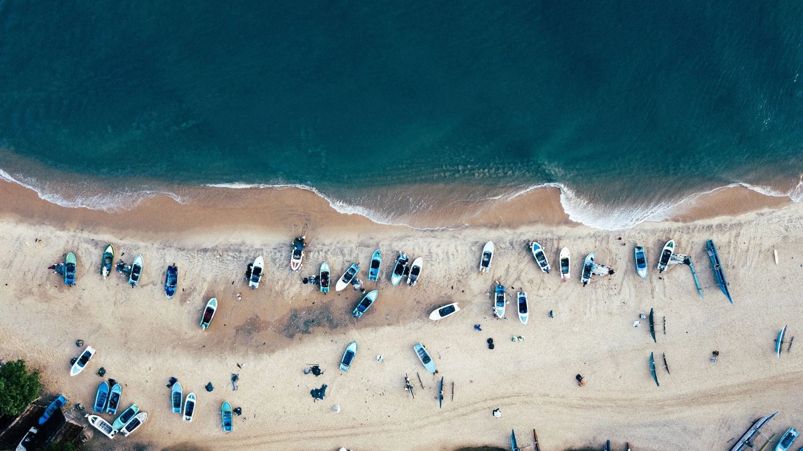 What to Do in Sri Lanka: Temples and Forests for an Incredible Journey