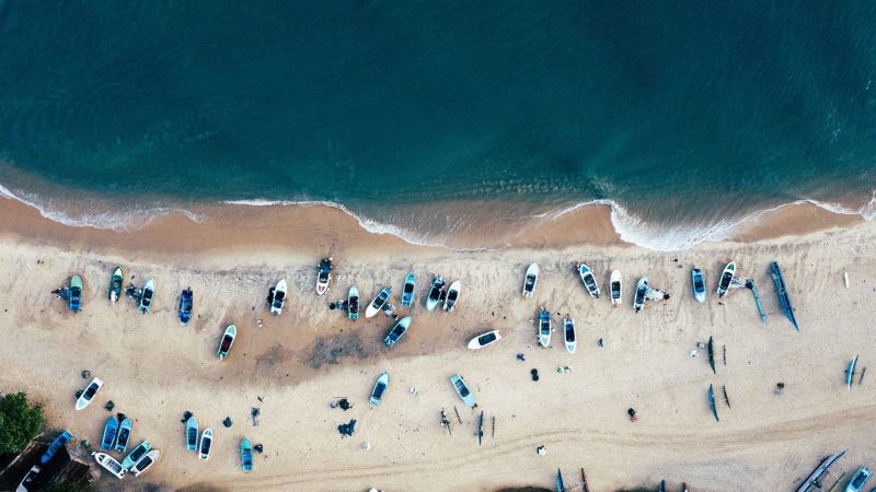 What to Do in Sri Lanka: Temples and Forests for an Incredible Journey