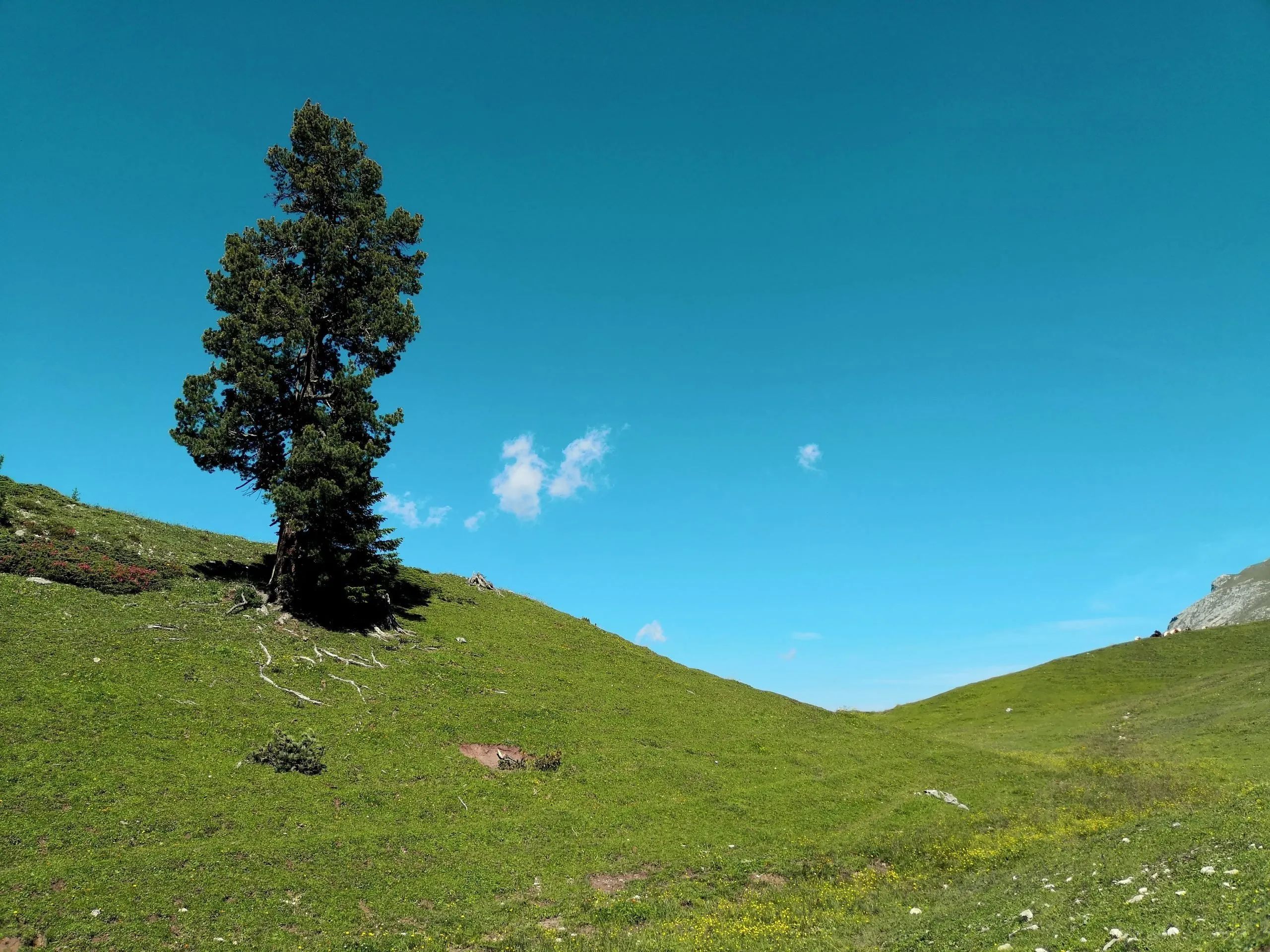 San Martino di Castrozza: Discover the Dolomites Paradise with Its Natural Wonders and Unmissable Activities!