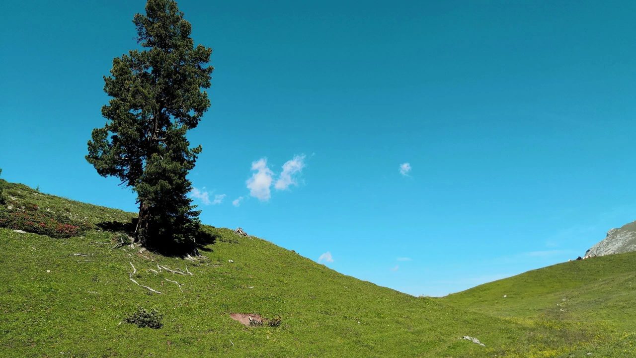 San Martino di Castrozza: Discover the Dolomites Paradise with Its Natural Wonders and Unmissable Activities!