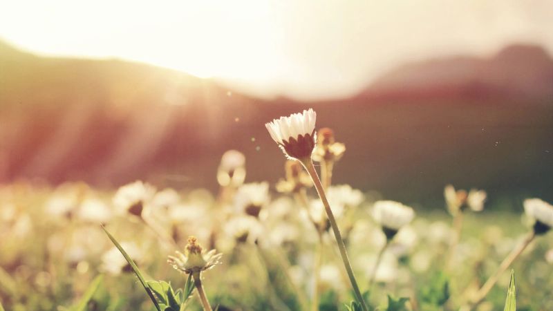 Spring Equinox: Traditions and Curiosities
