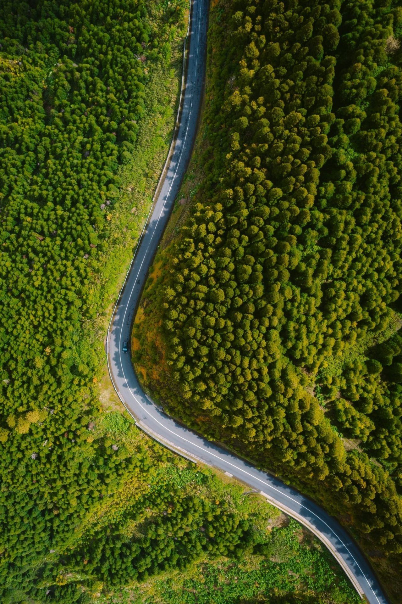 Discover the Perfect Path: How to Find the Right Road to Success