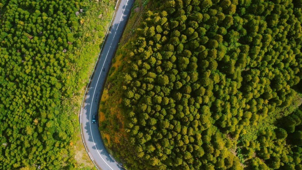 Discover the Perfect Path: How to Find the Right Road to Success