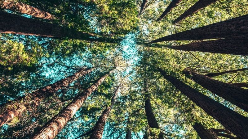 Découvrez la magie de la riviera du lac de garde : un paradis entre nature, culture et détente !