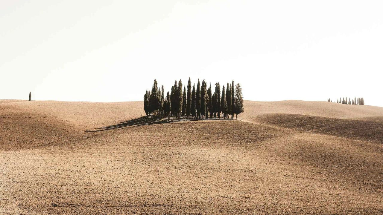 come ritrovare la pace nella natura vita stress modo contatto benessere contatto con la natura lavoro corpo una
