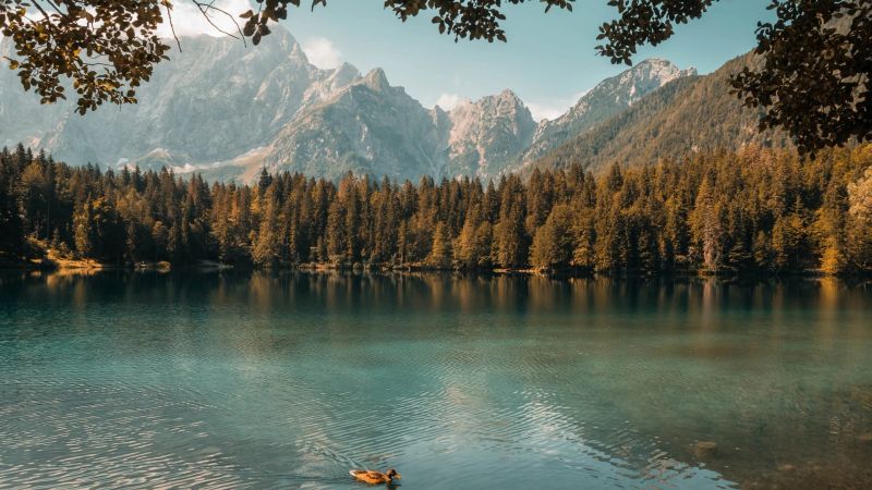 Lago Mono: Il Tesoro Salino della Contea di Mono, California