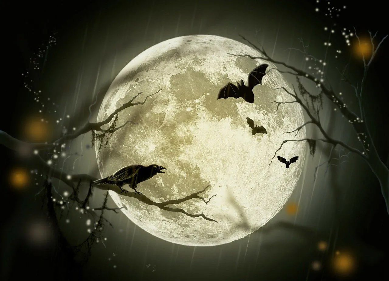cosa fare ad Halloween