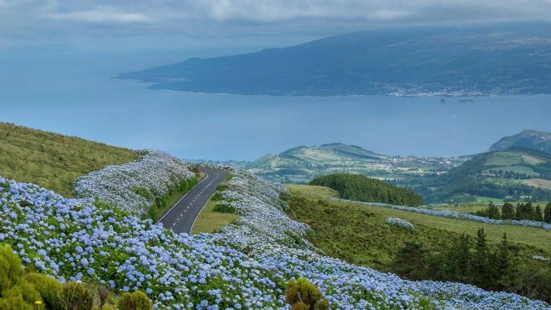 Where to Go in July for an Unforgettable Vacation