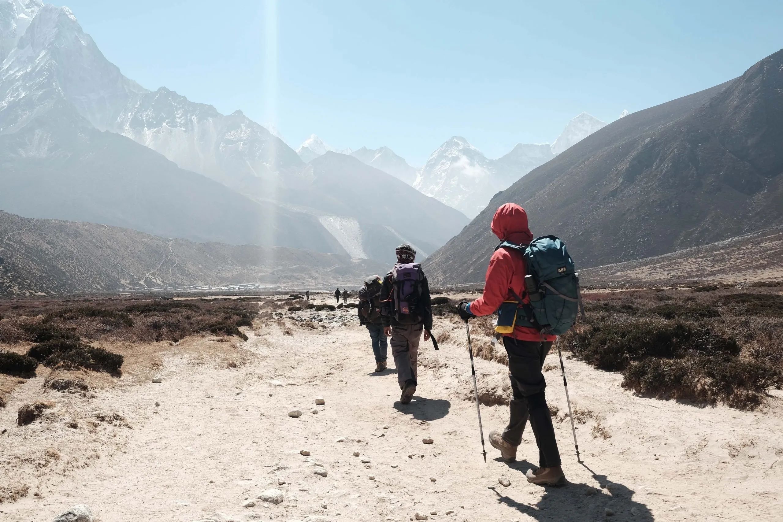 walking-to-lose-weight