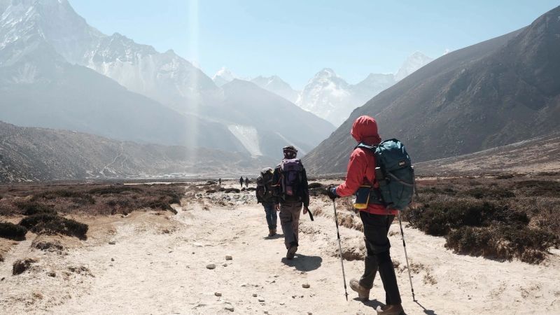 walking-to-lose-weight