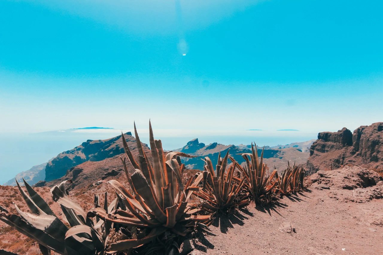 VIAGGIO DI GRUPPO A TENERIFE