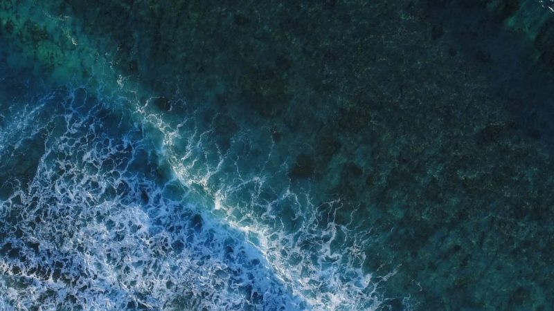 Jordan and Its Sea: The Most Beautiful and Unknown Beaches