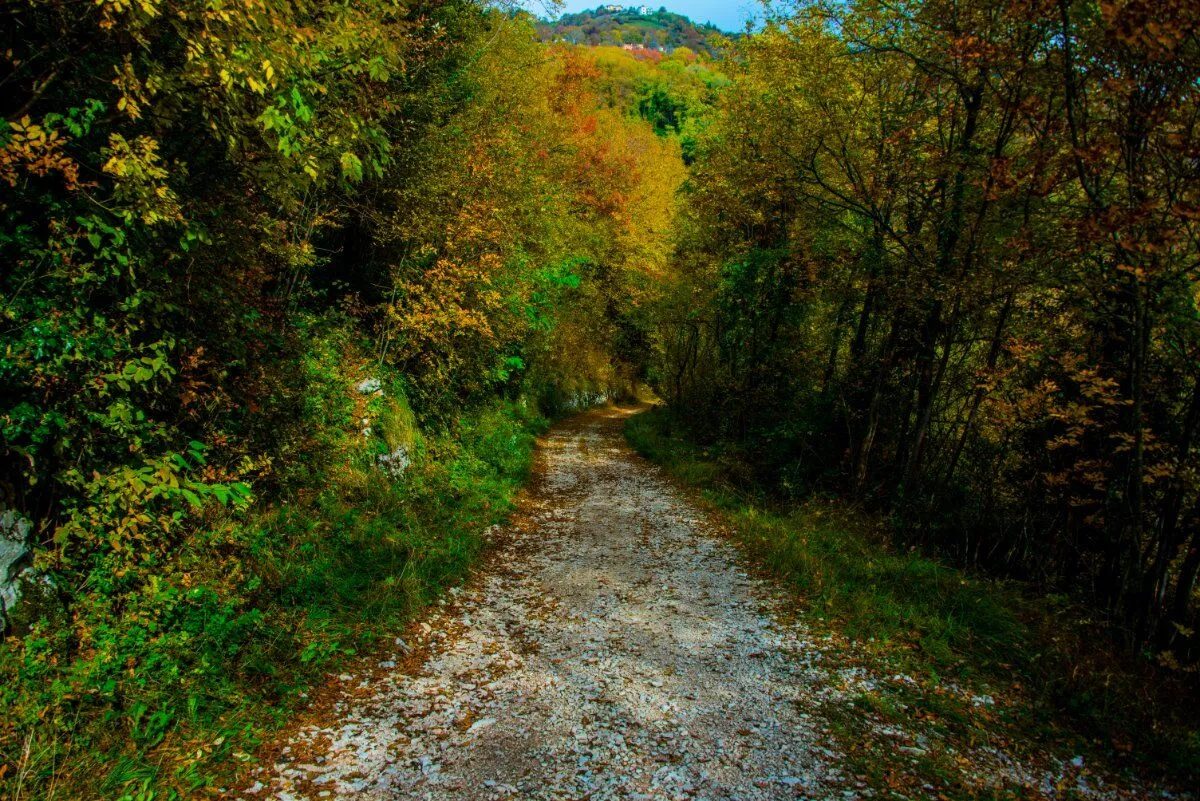 parco del sojo