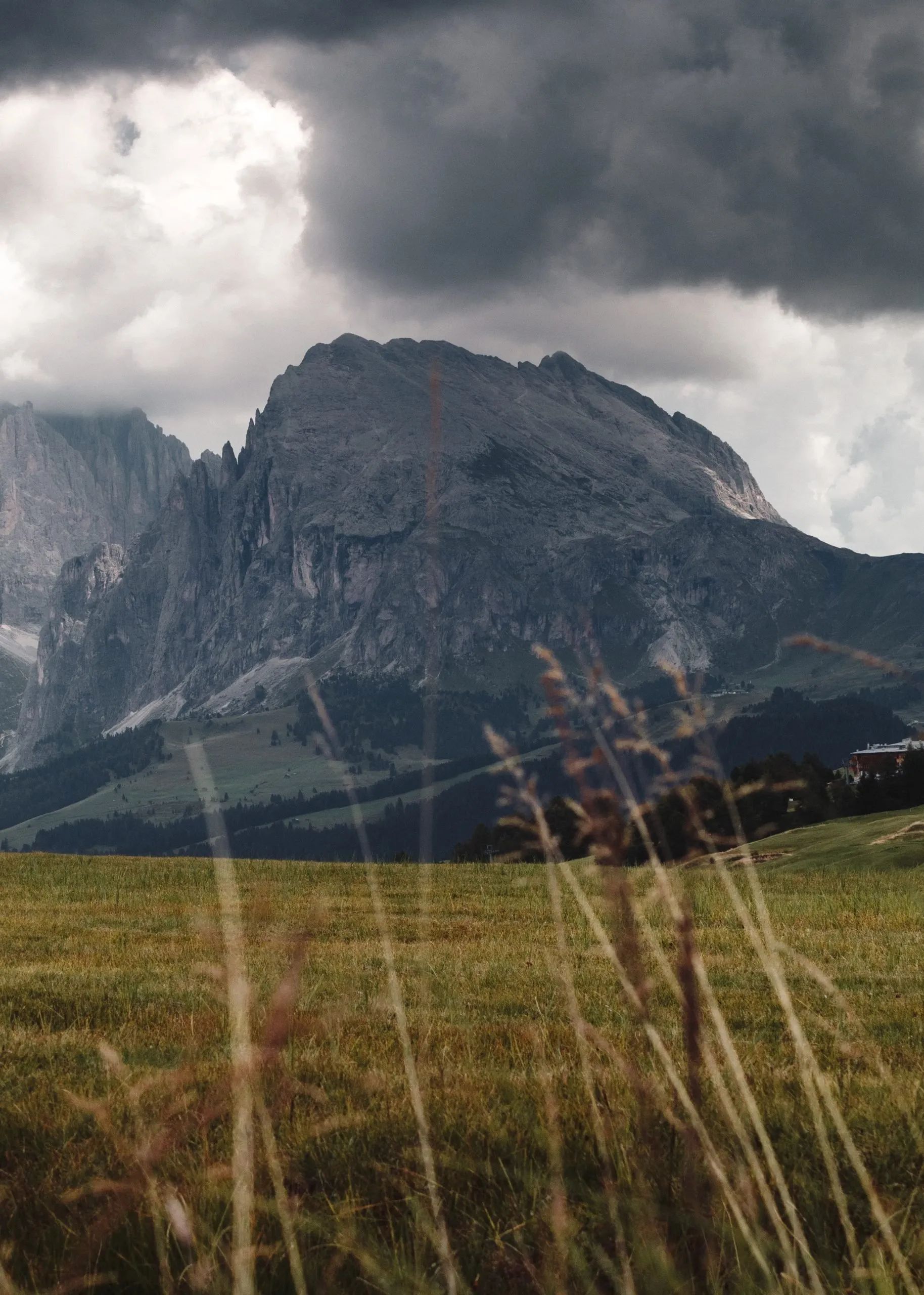 Alpe di Siusi: The Alpine Paradise of Untouched Nature and Breathtaking Activities