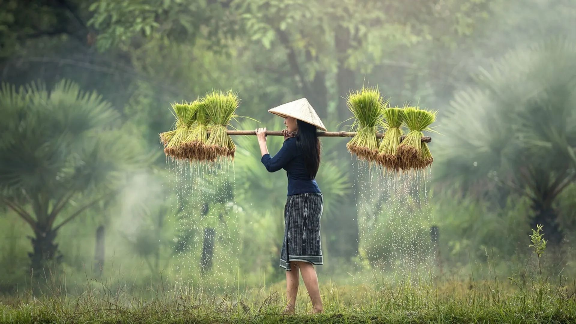 what to see in vietnam