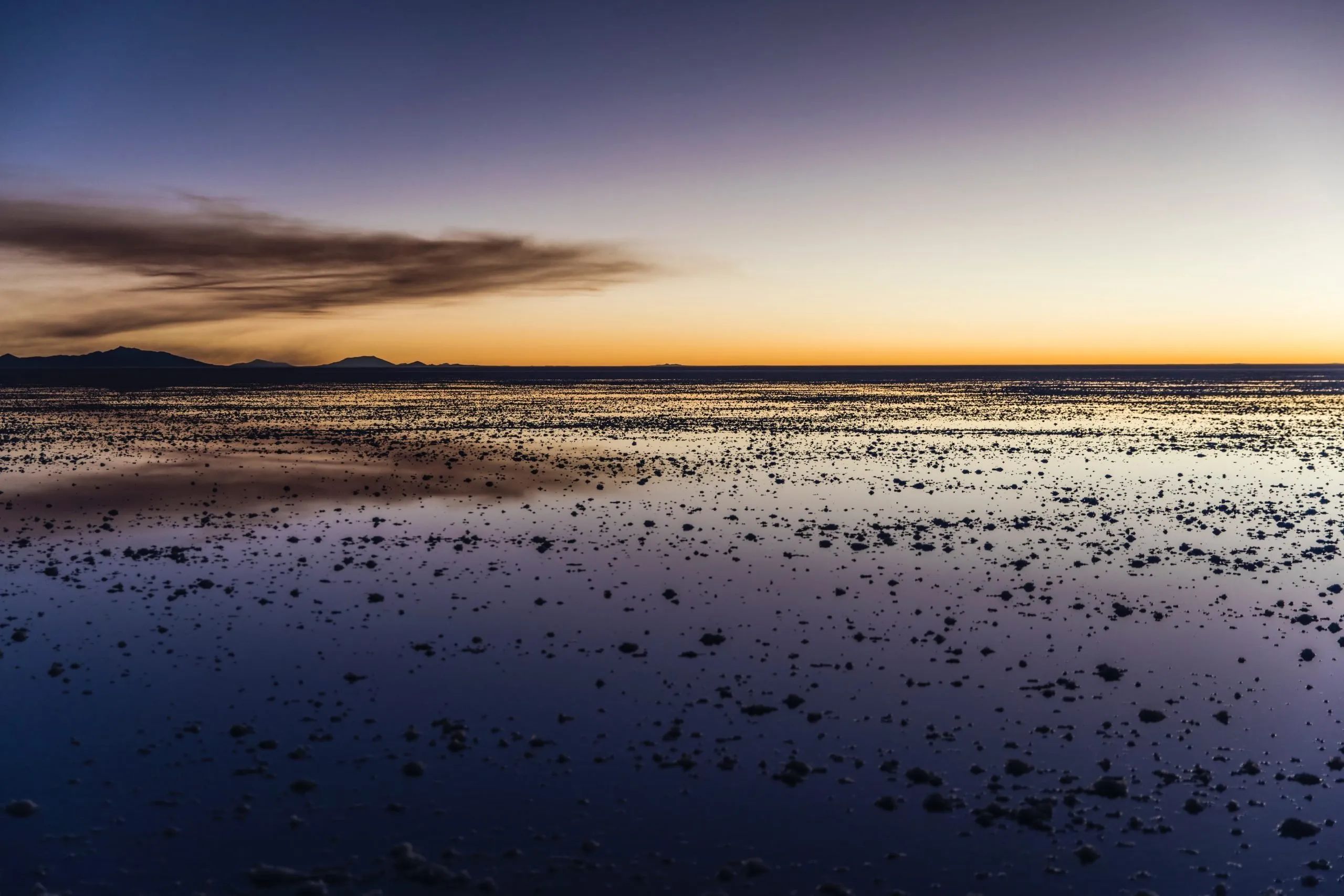 Wadden Sea: Exploring the Mud Trekking Paradise