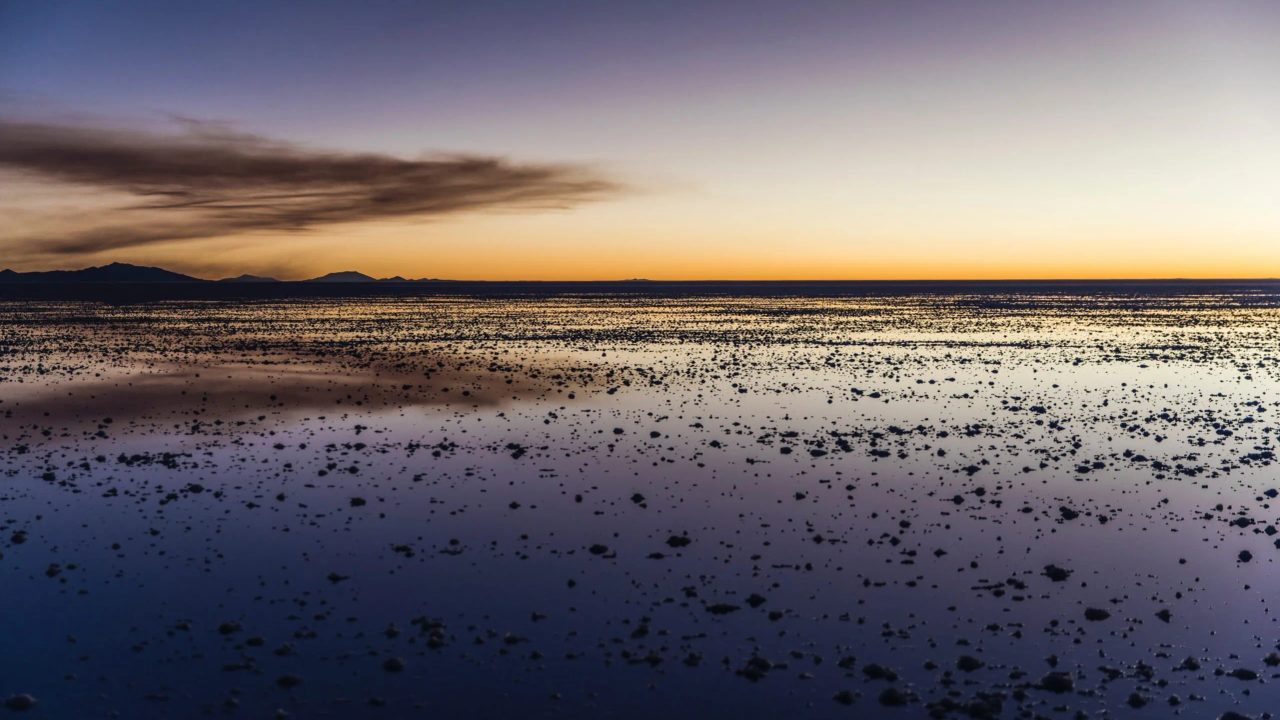 Wadden Sea: Exploring the Mud Trekking Paradise