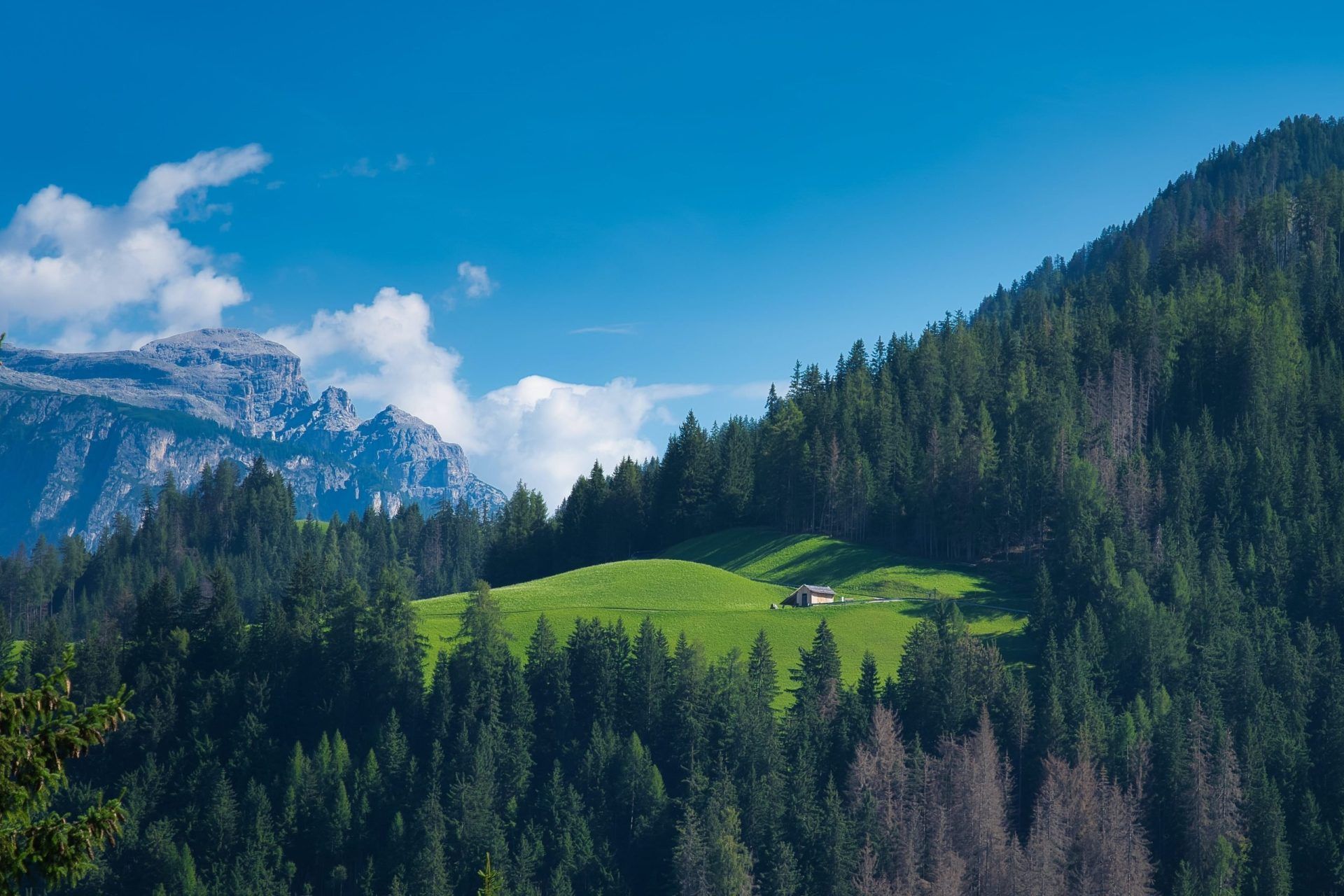 baita segantini dans la nature