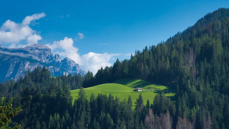 baita segantini nella natura