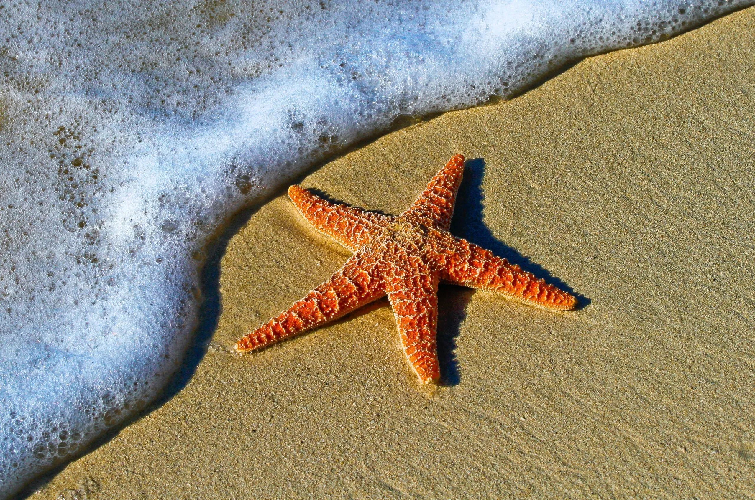 Xi Beach: The Enchanted Orange Beach That Stole the Colors of the Sunset