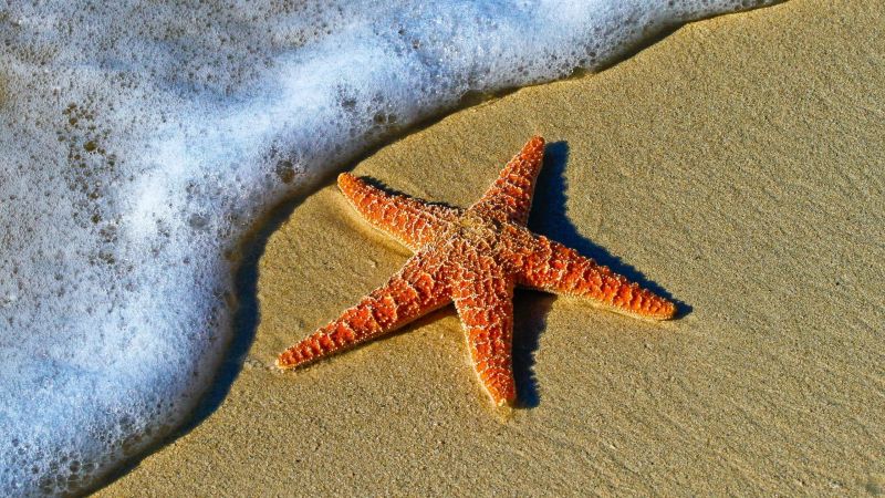 Xi Beach: The Enchanted Orange Beach That Stole the Colors of the Sunset