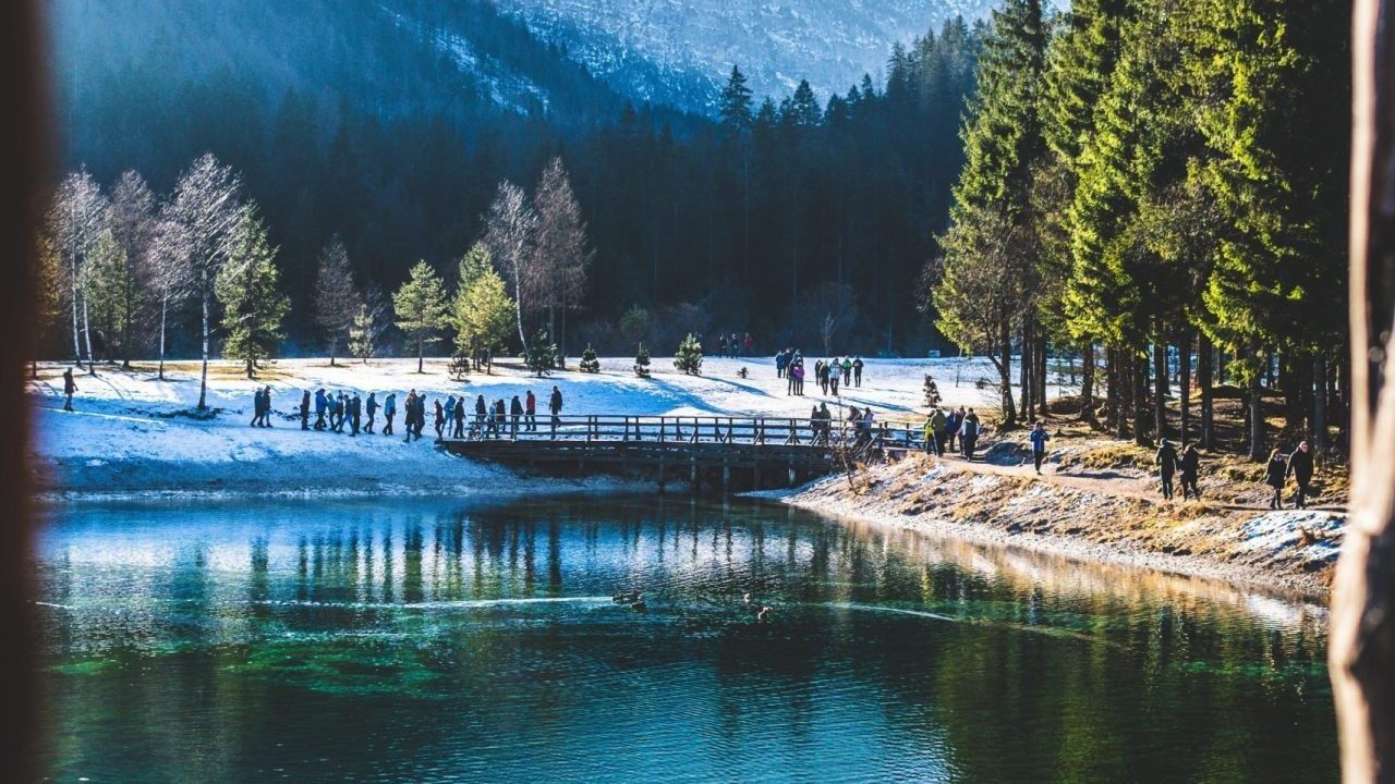 Slovenia: Discover the Charm of a Journey Through Vineyards and Cartoons