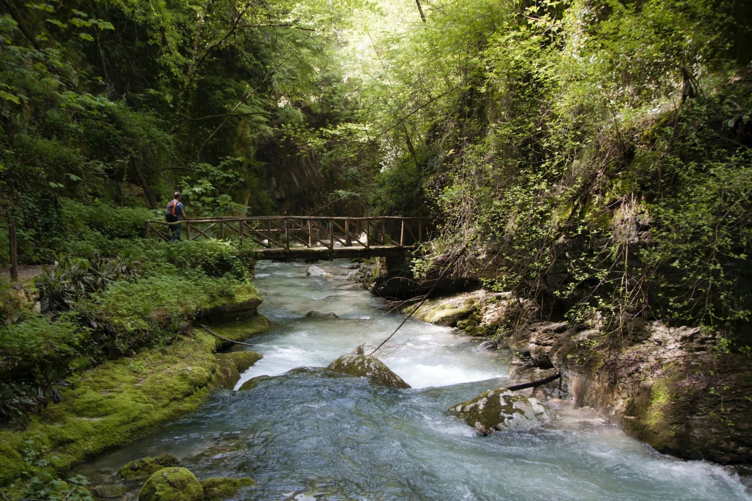 Levico Terme: Discover the Thermal and Natural Wonders of This Enchanting Town in the Heart of the Dolomites