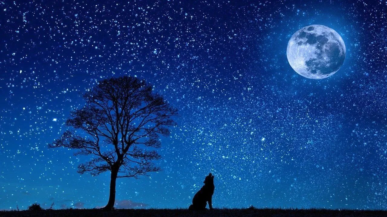 Guardare le stelle Halloween