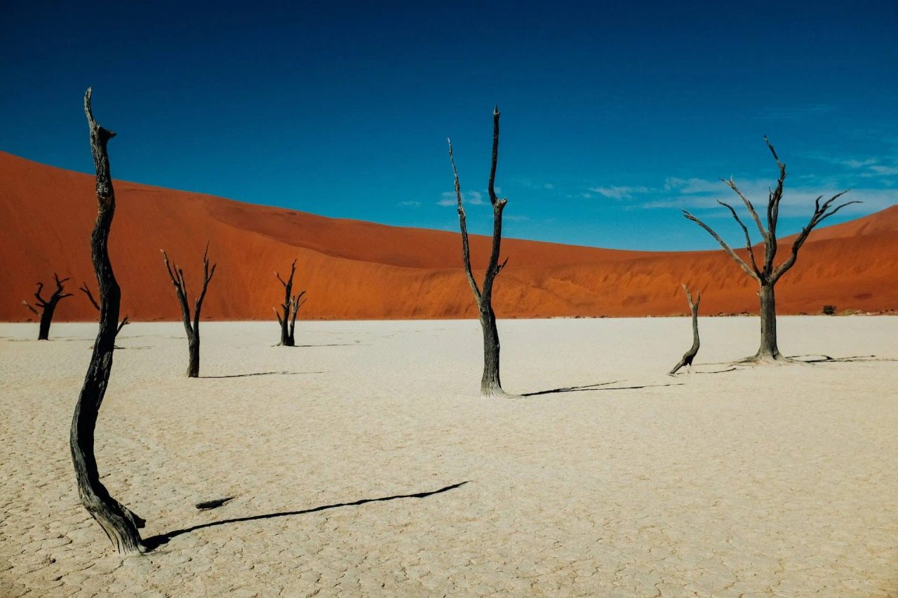 cosa vedere in namibia namibia viaggio viaggio in namibia self drive auto oceano strade giornate tour terra guida dollaro namibiano