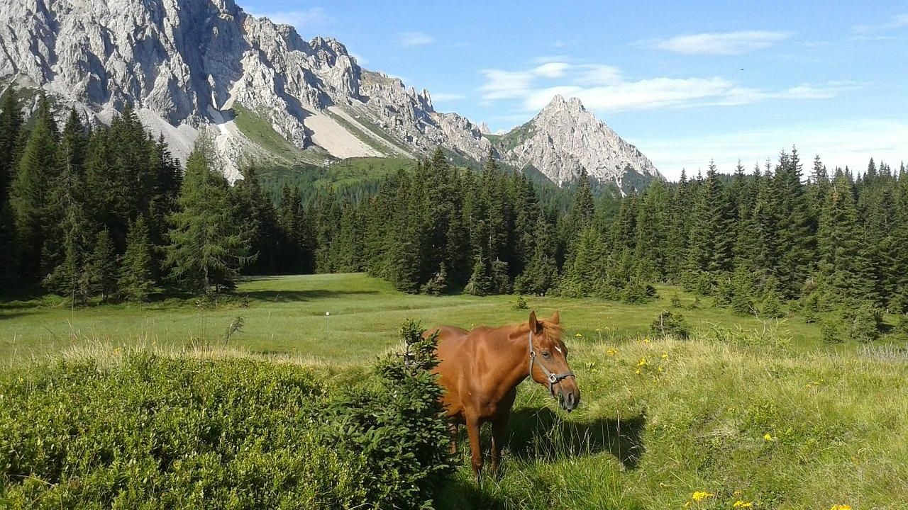 Friuli Venezia Giulia
