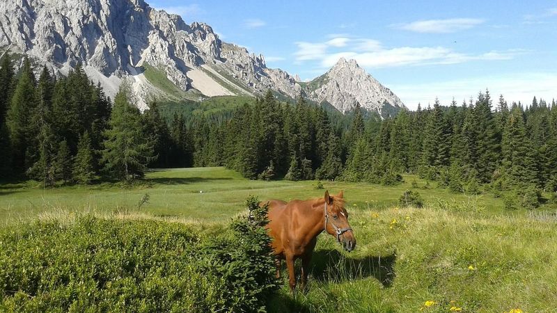 Friuli Venezia Giulia