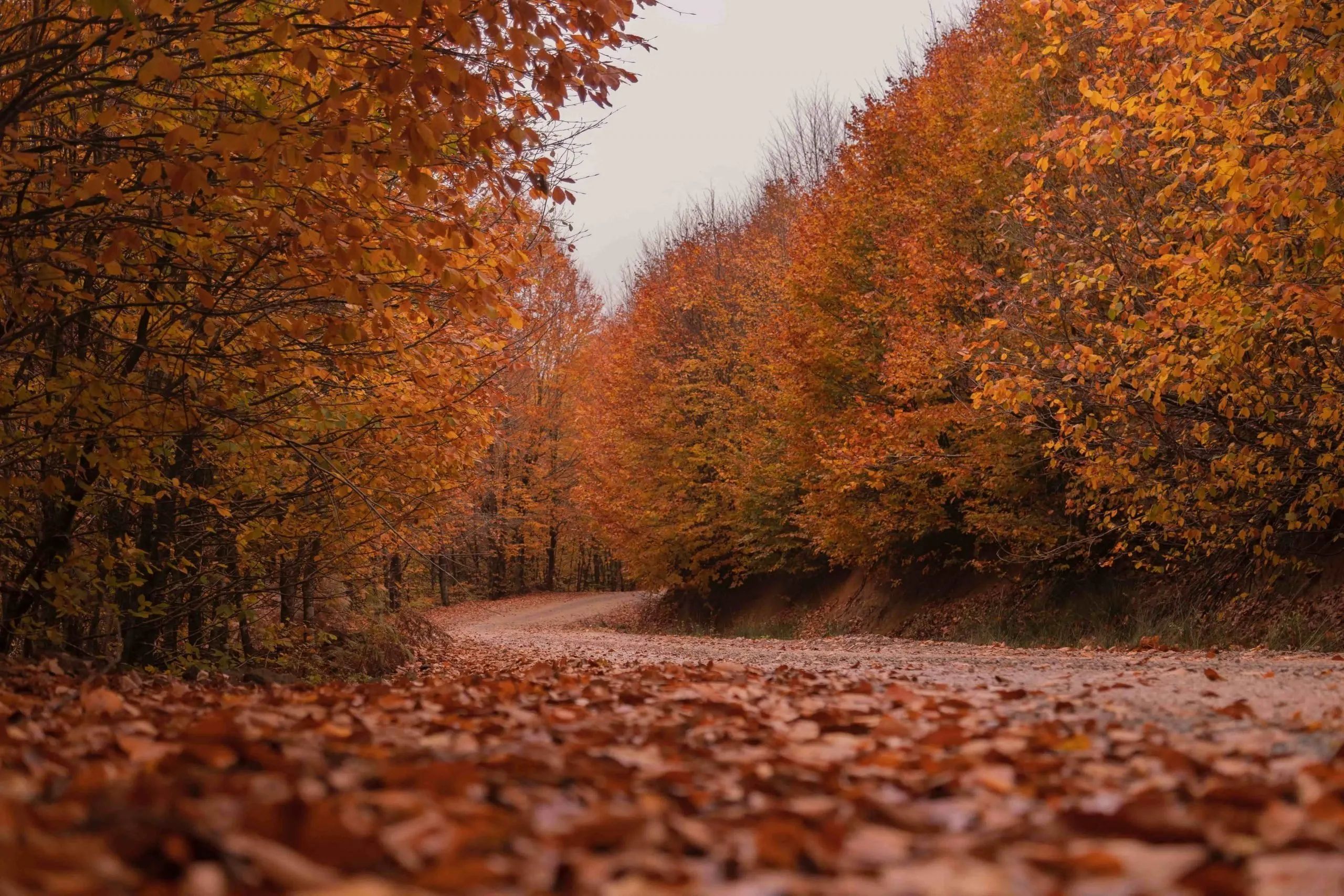 things to do in autumn