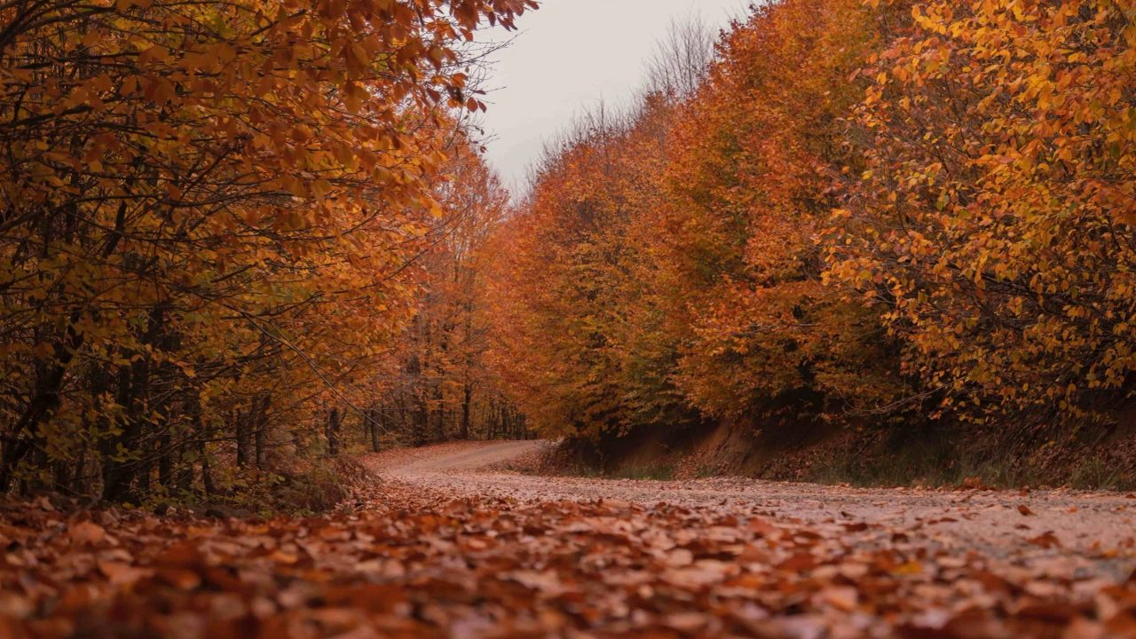 things to do in autumn