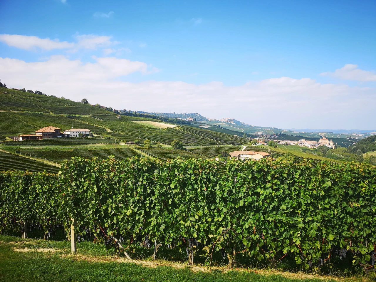 Il panorama piemontese lascia spazio a tante idee per gite fuori porta