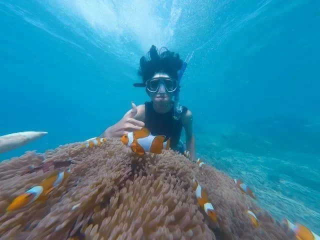 Snorkelling a Madeira