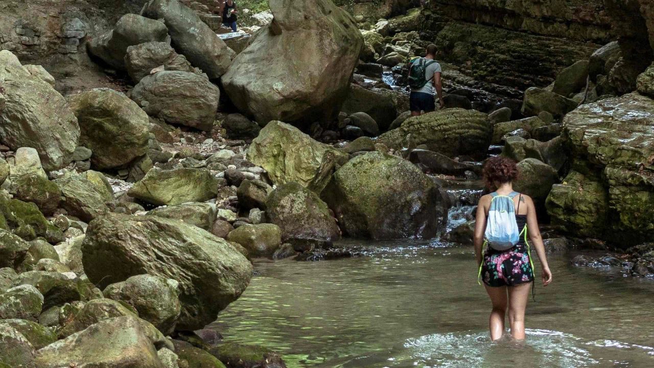 Partiamo con il consiglio più semplice e abusato di tutti quando si parla di stringere nuove amicizie. Le attività sportive sono il collante di gran parte della società e in Abruzzo non ci sono dati per smentire ciò. Il capoluogo abruzzese è una città che offre diverse possibilità in termini di impianti sportivi e attività legate allo sport e, pertanto, diventa molto facile trovare qualcosa a cui iscriversi. La piscina provinciale, ad esempio, è dotata di corsi di nuoto, corsi di aqua fit o anche di corsi di ginnastica più tradizionale. Nella zona limitrofa di Pescara c'è anche una particolare Scuola di calcio a 5 che punta appositamente al pubblico più adulto. La città ha anche decine di palestre con corsi di tutti i tipi, dal più classico bodybuilding a corsi di ginnastica funzionale per affrontare i mal di schiena e le scocciature della vita adulta. Tutte queste attività sono accomunate da una cosa ben precisa: altre persone. Altre persone con cui è possibile stringere amicizia avendo, in comune, un attività da fare insieme. Questo permette di bypassare le problematiche relative al non sapere di cosa parlare, offrendo uno spunto di argomenti perfetto poi spingere i rapporti verso amicizie vere e durature. Stringere amicizie a Pescara, in sostanza, diventa facile se ci si mette alla prova e si suda un po'.