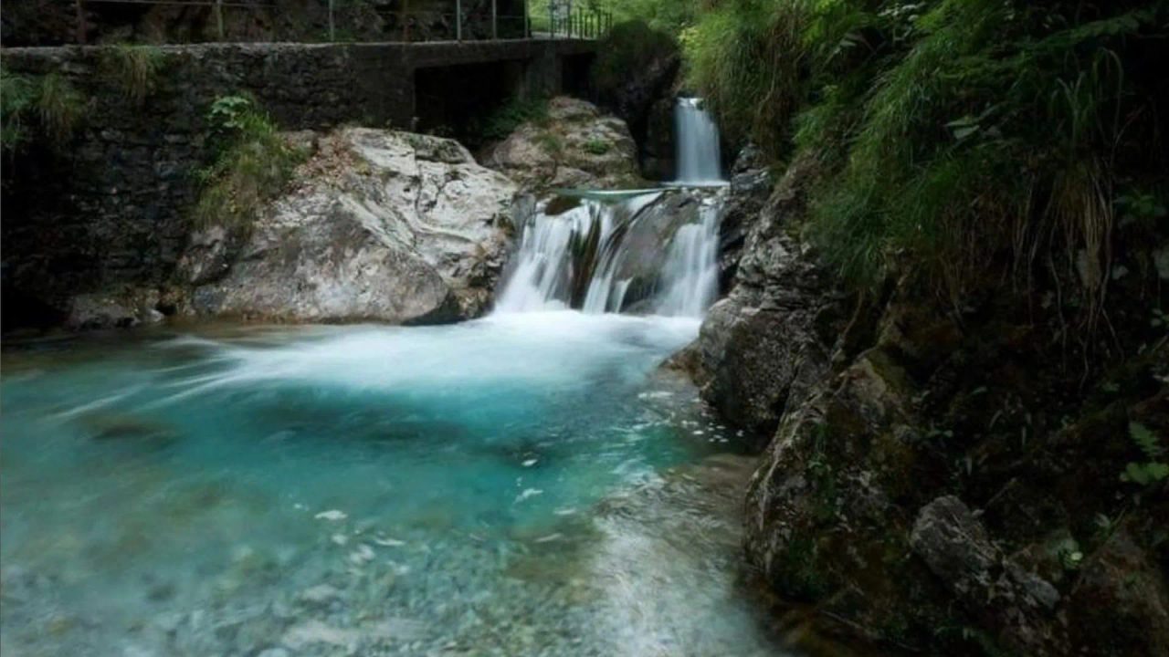 cani legge hotel commenti e mail consigli rispetto primavera varese viaggi