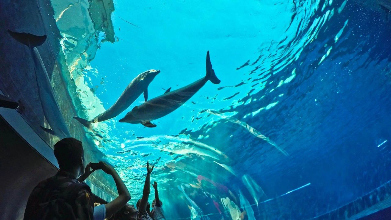 Italia siti festa città vacanze scoperta incontri visita