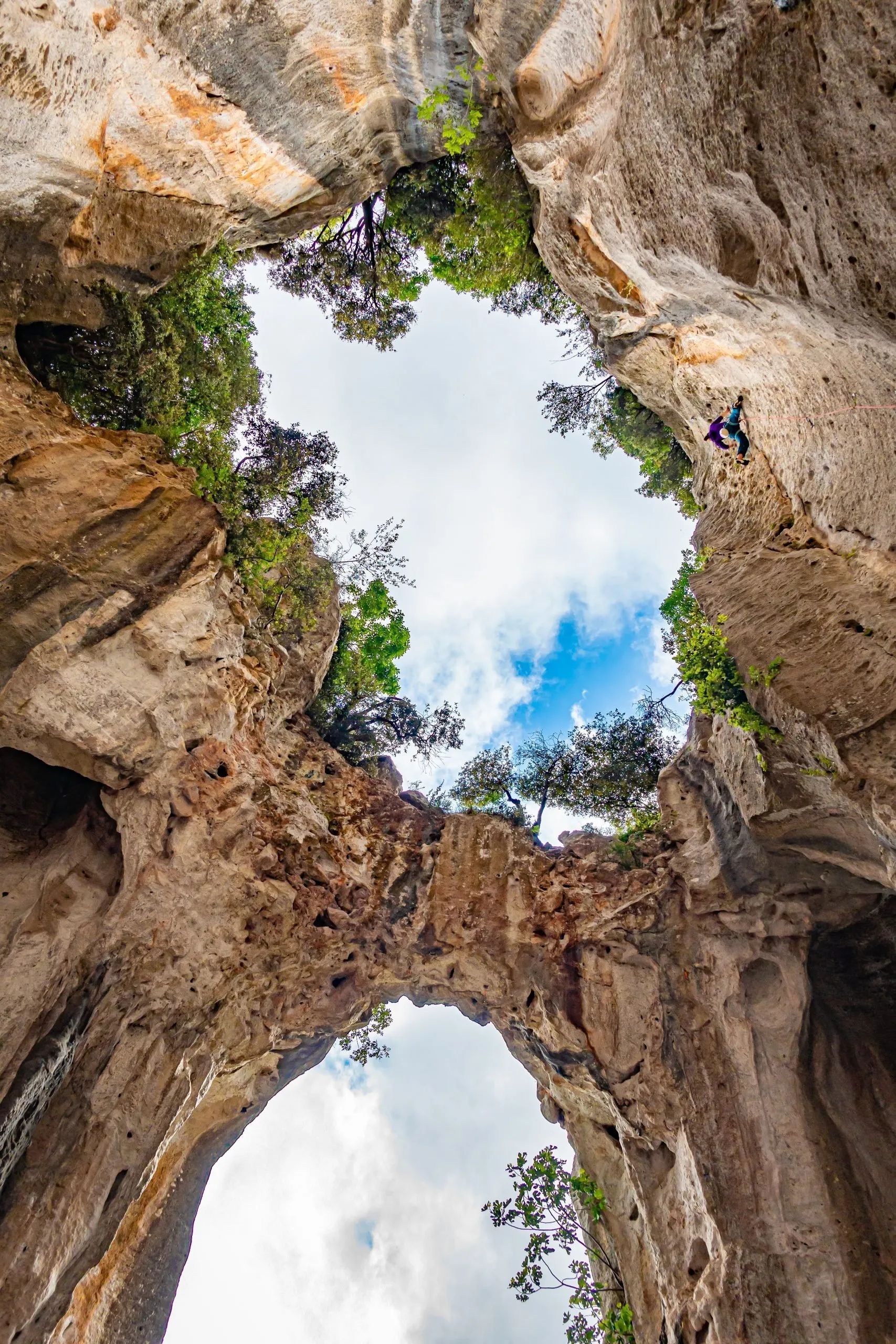 Explora la magia subterránea: descubre la cueva de Postojna y déjate fascinar por su belleza