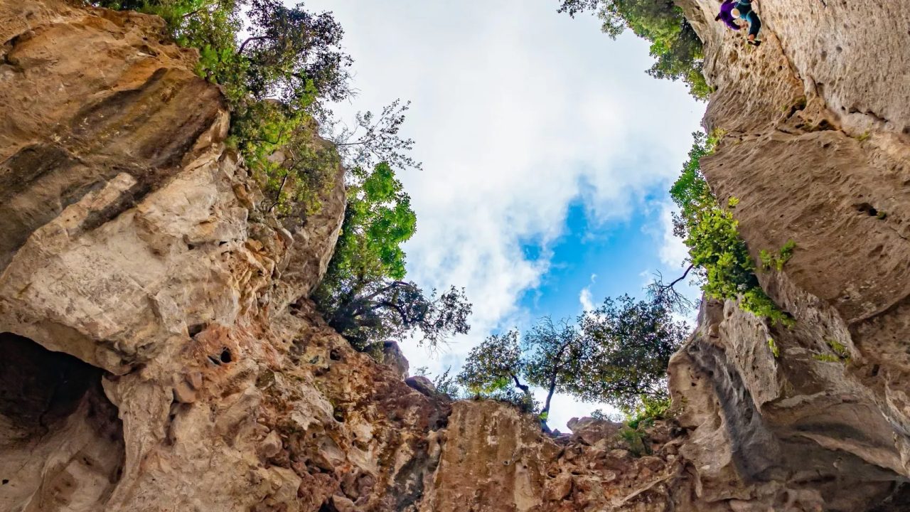Explora la magia subterránea: descubre la cueva de Postojna y déjate fascinar por su belleza