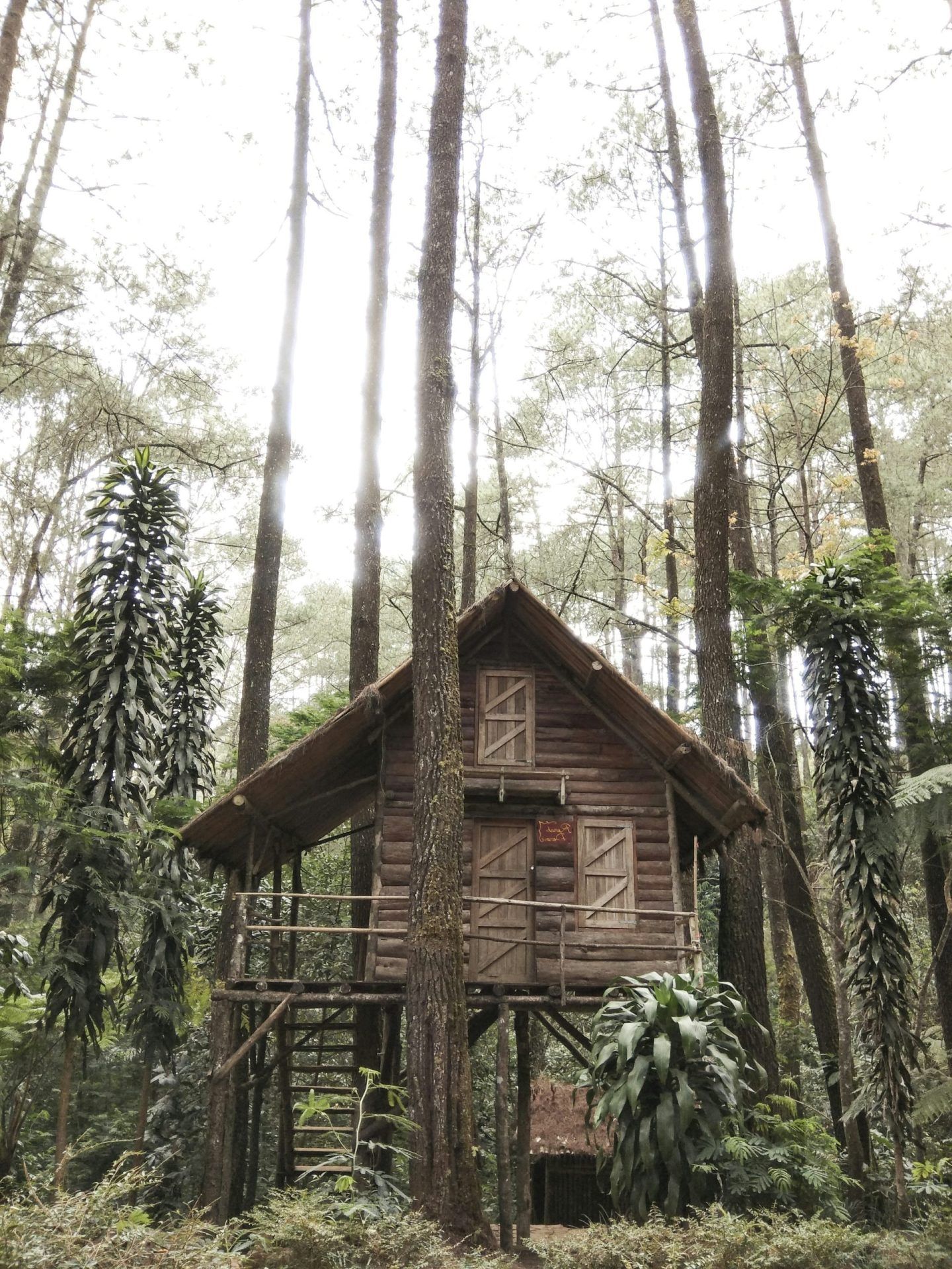Découvrez le charme des hôtels chalet al foss : une hospitalité luxueuse au cœur de la nature