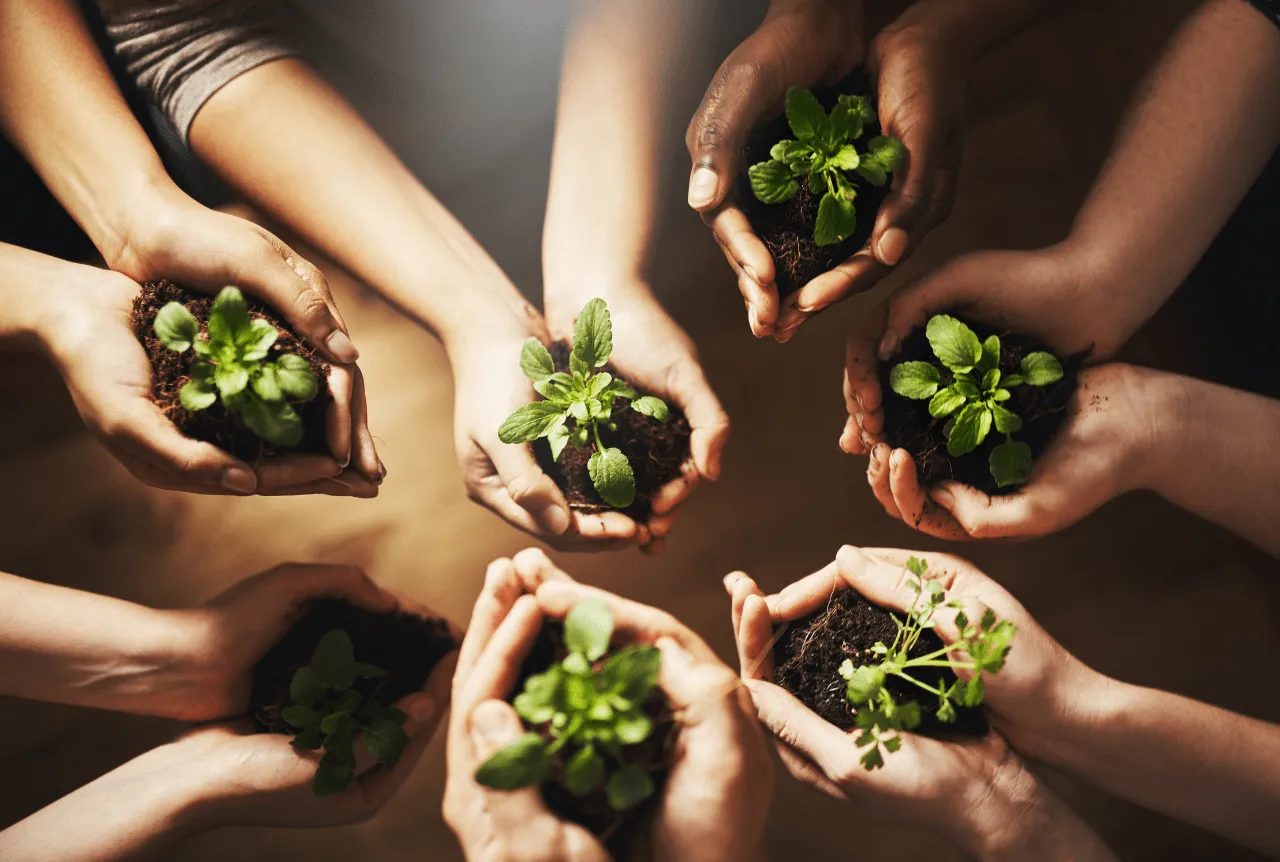 vivere-in-modo-ecologico