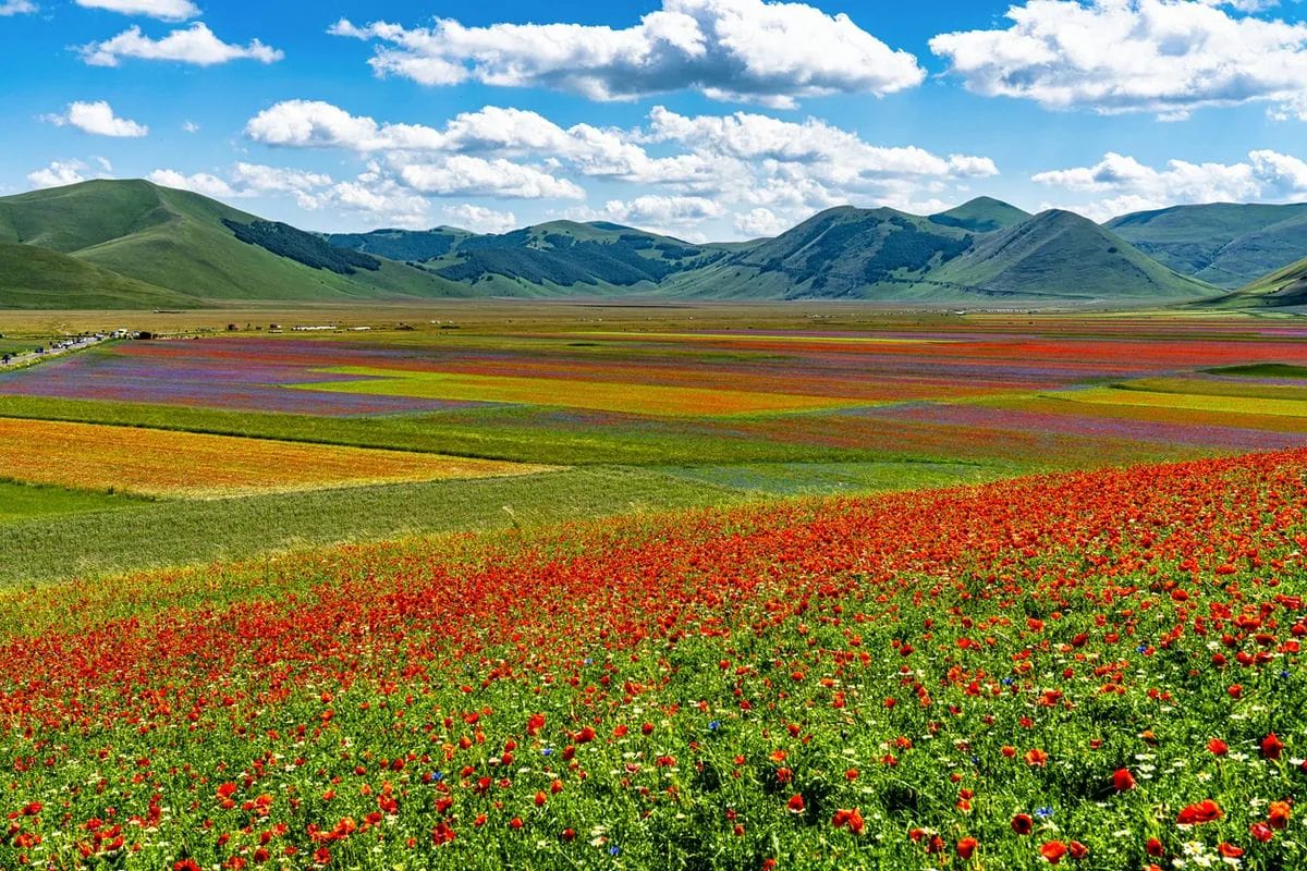 castelluccio